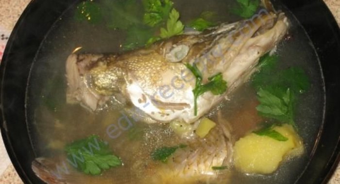 Уха из щуки