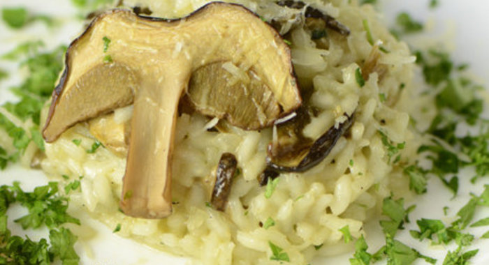 Ризотто с белыми грибами