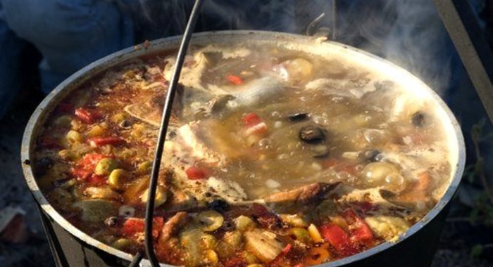 Солянка донская