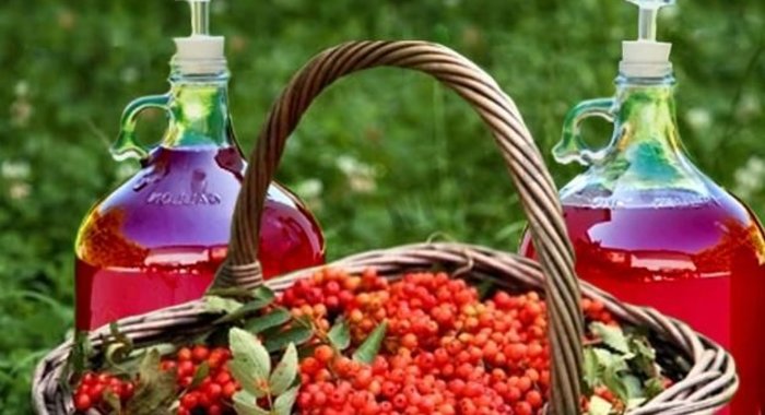 Домашнее вино из калины