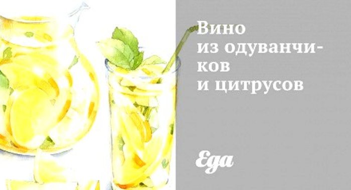 Вино из одуванчиков и цитрусов