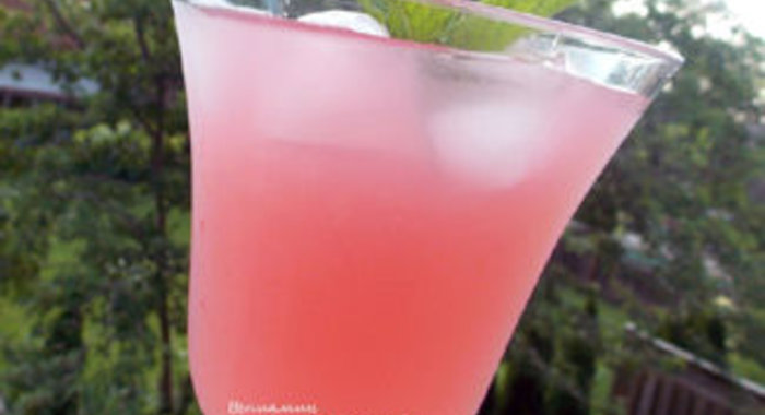 Ревеневый лимонад с мятой и апельсиновой водой