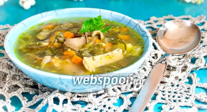 Суточные щи