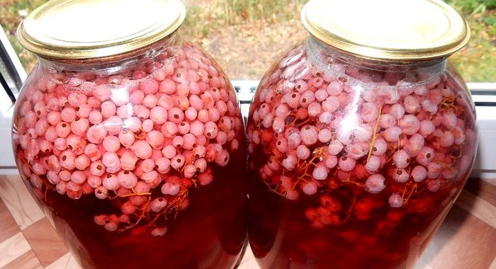 Компот из белой и красной смородины на зиму