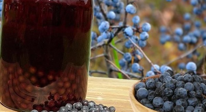 Домашнее терновое вино из терна