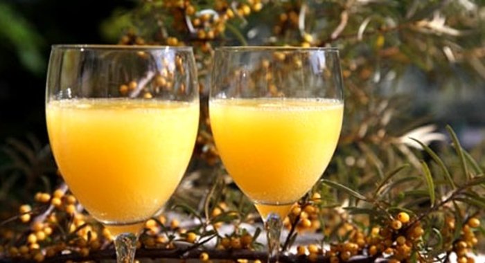 Вино из облепихи