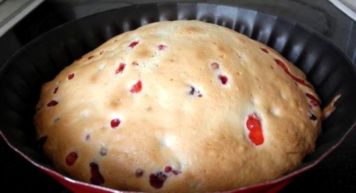 Шарлотка с клюквой