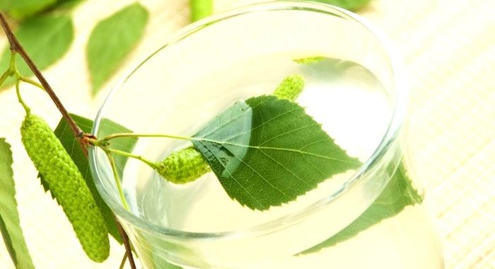 Вино из березового сока