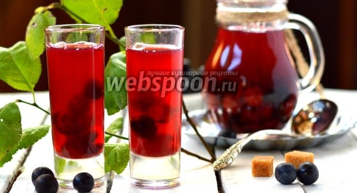 Компот из тёрна