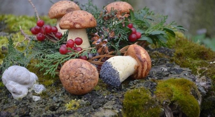 Сливовая пастила с орехами