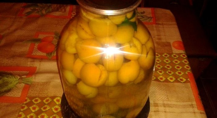 Абрикосово-мятный компот