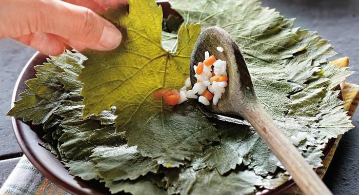 Виноградные листья