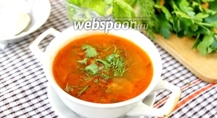 Щи с утятиной и квашеной капустой