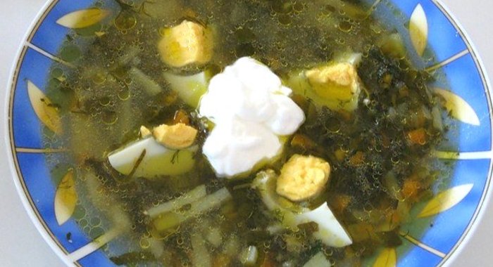 Щи из щавеля на курином бульоне