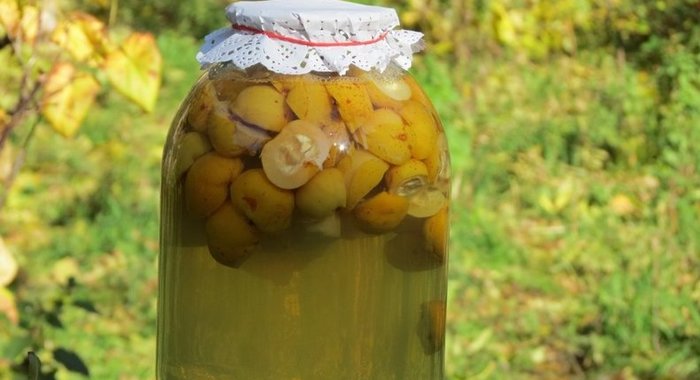 Компот из лимонника