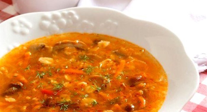 Щи из квашеной капусты на грибном бульоне