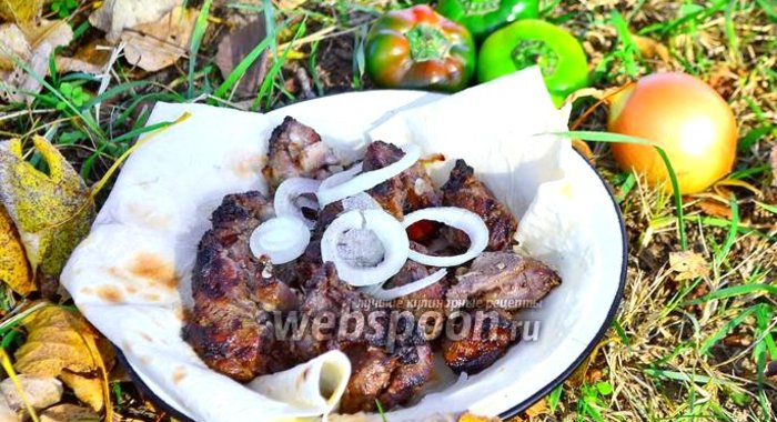 Шашлык из баранины маринованный в киви