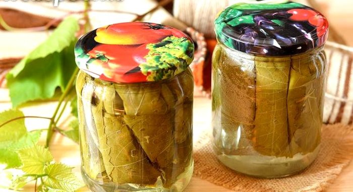 Маринованные виноградные листья