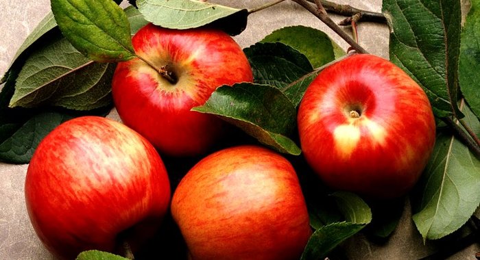 Ржаная шарлотка с яблоками