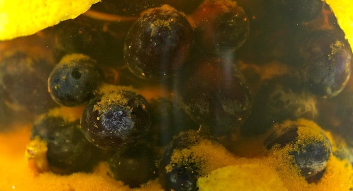 Моченый виноград по‑кубански