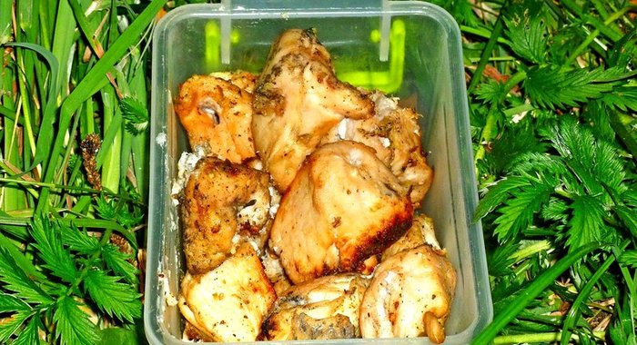 Куриный шашлык в маринаде из киви