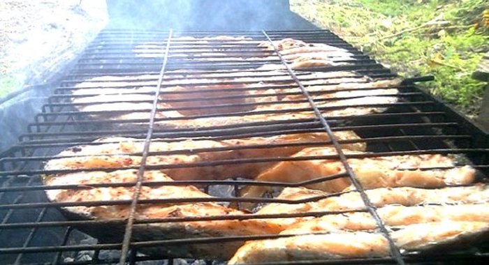 Шашлык из рыбы на костре