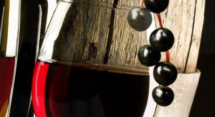 Домашнее вино из черемухи