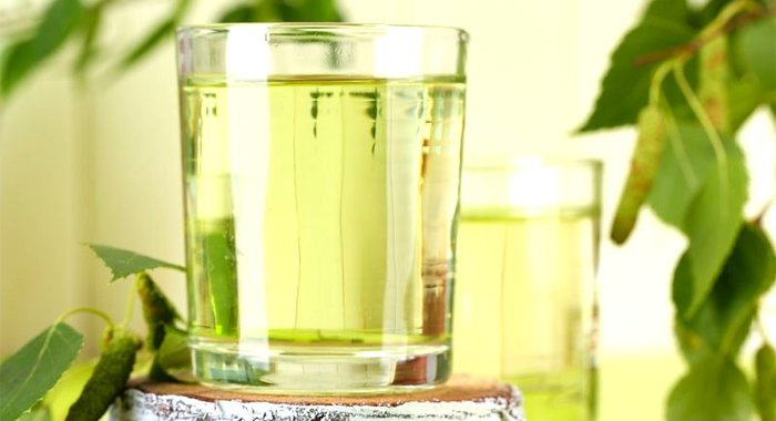 Вино из березового сока без кипячения