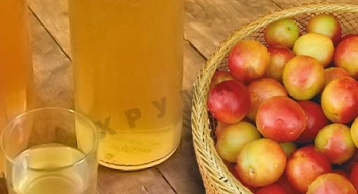 Домашнее вино из алычи