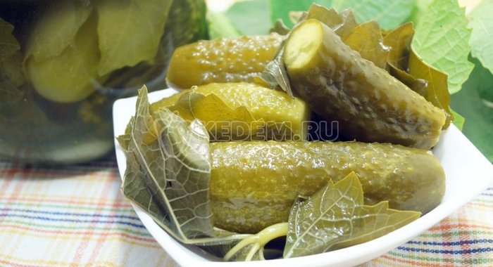 Солёные огурцы в листьях винограда