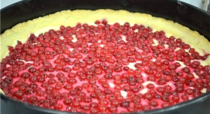 Творожный пирог со смородиной