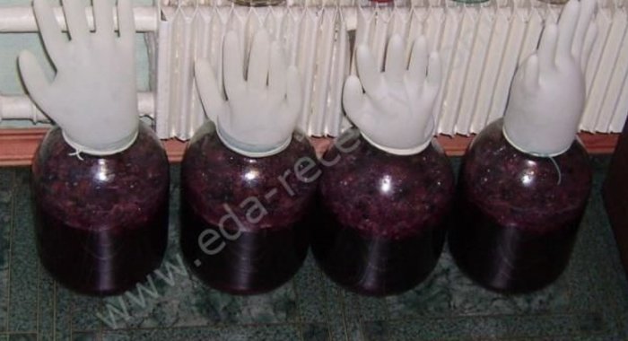 Вино из винограда Изабелла