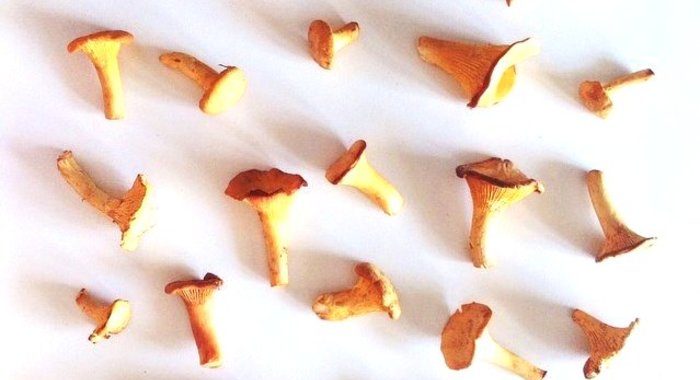 Рагу из лисичек и баклажанов