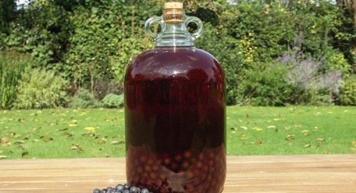 Вино из терна