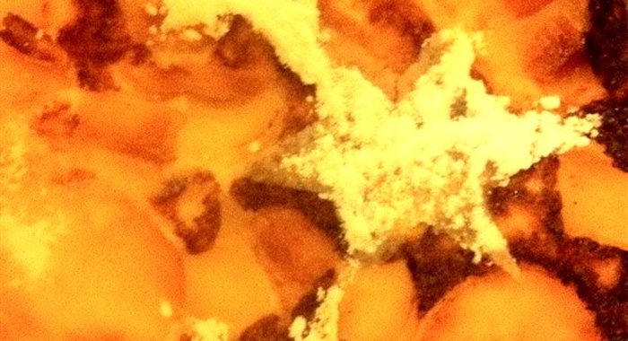 Творожная запеканка с яблоками и изюмом