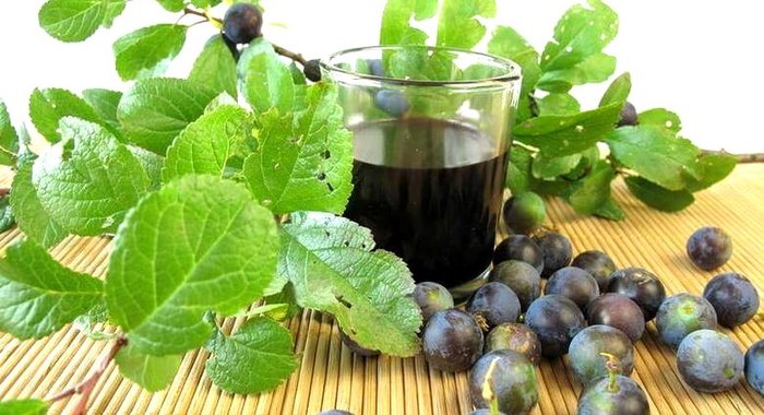 Вино из терновника