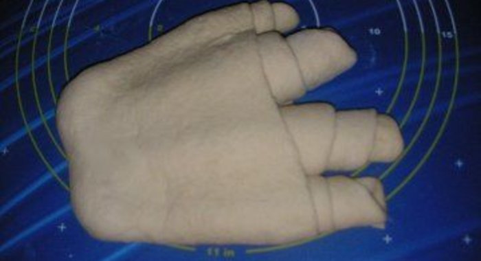 Хлеб Медвежья лапа