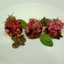 Салат Винегрет с гурийской капустой и маринованными маслятами