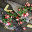 Форель на гриле с салатом из маринованной