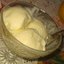 Сметанное мороженое