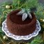 Шоколадный торт с курагой