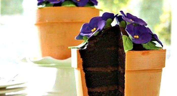 Торт Цветок в горшке
