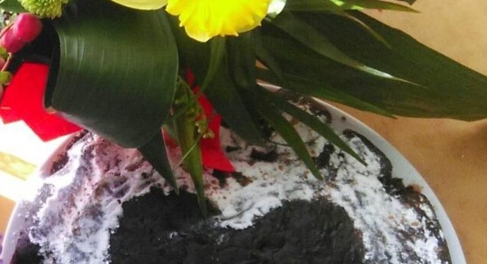 Шоколадный пирог