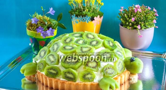 Торт «Изумрудная черепаха»