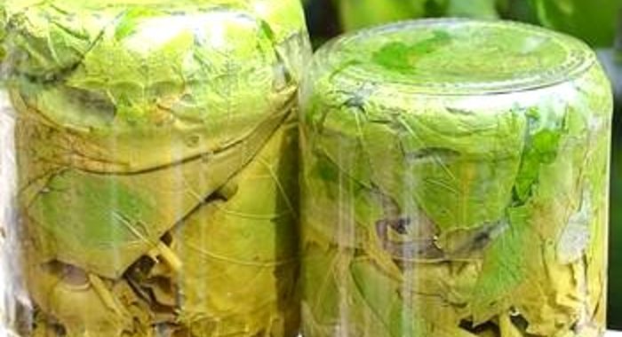 Маринованные виноградные листья для долмы