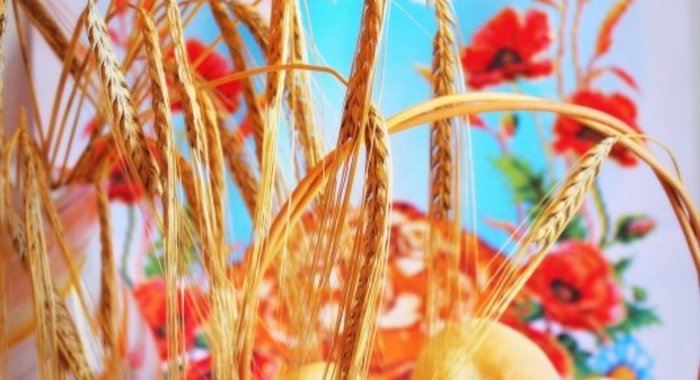 Жемле (югославская булочка)