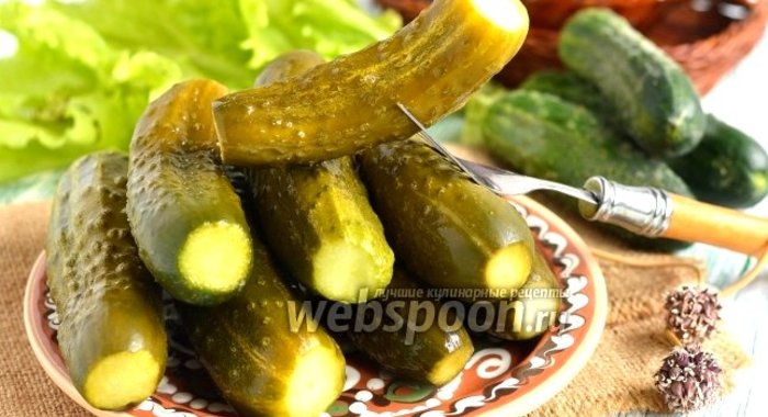 Малосольные огурцы на белом хлебе