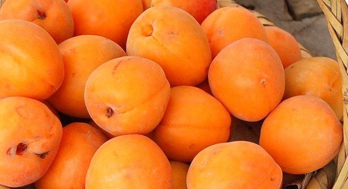 Варенье из абрикосов по-армянски