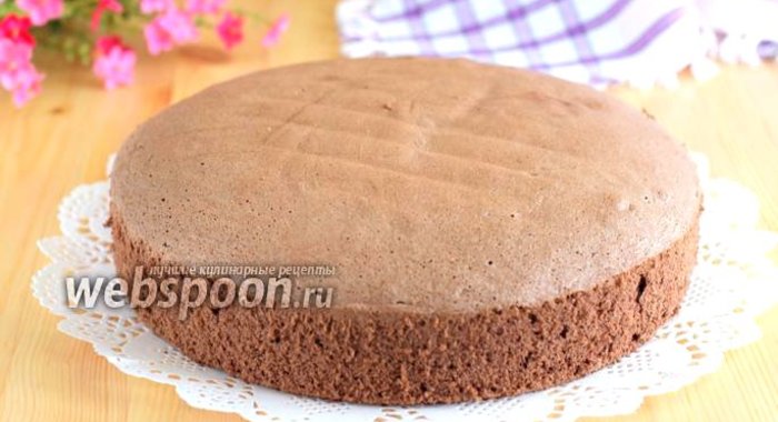 Польский шоколадный бисквит