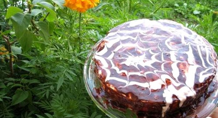 Маковый торт с йогуртом и шоколадом